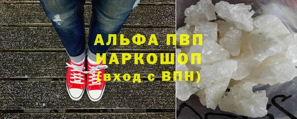 молекула духа Бородино
