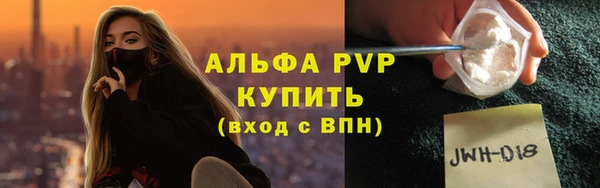 молекула духа Бородино