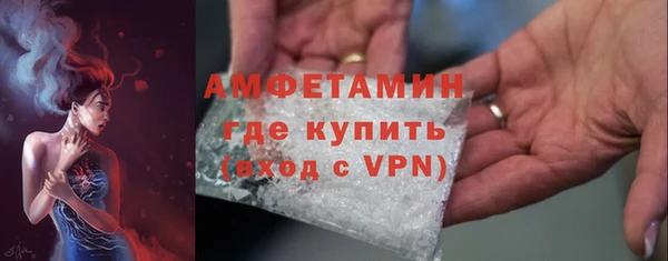 молекула духа Бородино