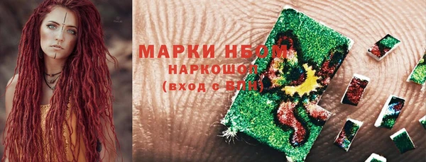 молекула духа Бородино