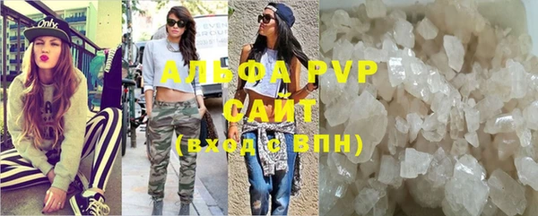 молекула духа Бородино