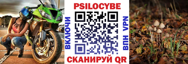 Купить закладки  Томмот  Псилоцибиновые грибы Magic Shrooms 